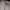 iphone 11 64 gb photo 2