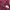 sleeveless tanktop maroon brukat wanita vintage coquette  photo 4