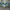 DC shoes spartan grey blue photo 1