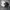 Nike Lebron soldier 13 SFG lakers photo 7