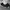 Nike Air Jordan True Flight Black