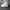 Nike AF1 triple white photo 2