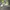 Nike Air Jordan 1 High Zoom Comfort 2 'University Blue Volt' photo 2