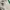 Tracktop Adidas Backenbauer Stansmith photo 6
