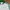 Tracktop Adidas Backenbauer Stansmith photo 2