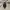 babyGap Outerwear Kids navy photo 7