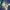 Vintage Y2K T-shirt Pria blue photo 4
