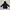 Polo Ralph Lauren Outerwear Kids Navy