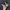 Nike Air Jordan 1 Low Smoke Grey Original photo 4
