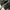 Nike Air Jordan 1 Low Smoke Grey Original photo 3