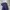 DICKIES GORPCORE JACKET photo 8