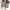 Converse Streetwear Casual Sneakers Wanita white black photo 2