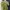 Blouse sage green photo 1