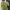 Blouse Sage Green
