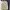 Blazer cream photo 1