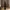 Long dress maroon Gayatri Top photo 2