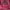 hoodie gap maroon photo 3