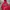 hoodie dickies red art 22 velvet photo 1