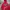 Hoodie Dickies Red Art 22 Velvet