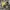 Timberland boots photo 1