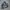 Vintage Field Jacket photo 3