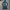 Nike Swoosh Long Coach Jacket photo 1