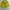 Zara Sabrina Top Yellow photo 2