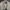 Hoodie Zipper GAP Big Logo Cream photo 2