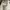 HMNS HAIR & BODY MIST photo 2