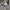 Titleist Golf Longsleeve Poloshirt photo 6