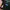 MONSTER ENERGY TER BLOCK 43 photo 3