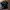 MONSTER ENERGY TER BLOCK 43 photo 1