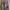 Cargo Camo streetwear by gobal work photo 3