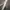 XIAOMI WATCH 2 SILVER NEW SEGEL photo 4