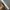 XIAOMI WATCH 2 SILVER NEW SEGEL photo 2