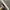 XIAOMI WATCH 2 SILVER NEW SEGEL