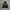 B One Soul X Sequence Tour Hoodie