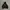 Tupac Hoodie Rare
