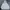 Issey Miyake Vintage Sportswear Fleece Wanita white photo 4