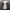 Burberry London White Midi Dress photo 1