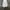 Burberry London White Midi Dress photo 3
