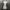 Burberry London White Midi Dress photo 4