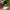 Sneakon Strap Sandal Size 39 (25cm) photo 4