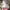 Yeezy Sportswear Sneakers Pria tan brown photo 7