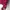 Millet Casual Puffer jacket Wanita pink photo 8