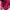 Millet Casual Puffer jacket Wanita pink photo 7