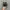 Nike Air Max Plus Tn Black White photo 4