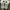 Lining basketball photo 6