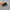Sendal Keen Black photo 4