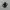Sendal Keen Black